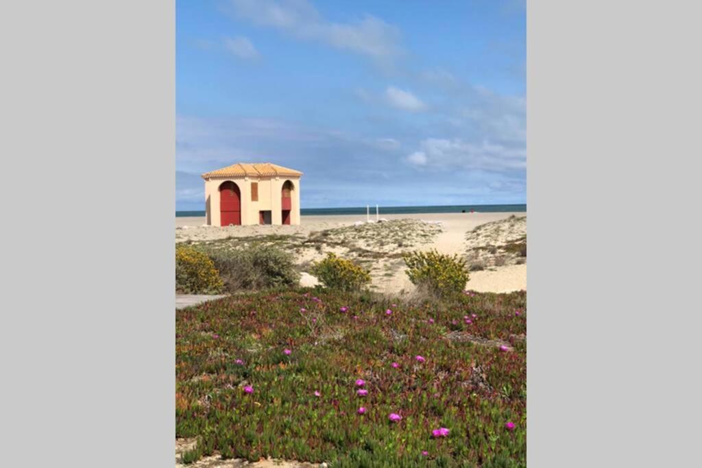 La Perle Vue Mer Pieds Dans L'Eau Clim Wifi Leucate Exterior foto