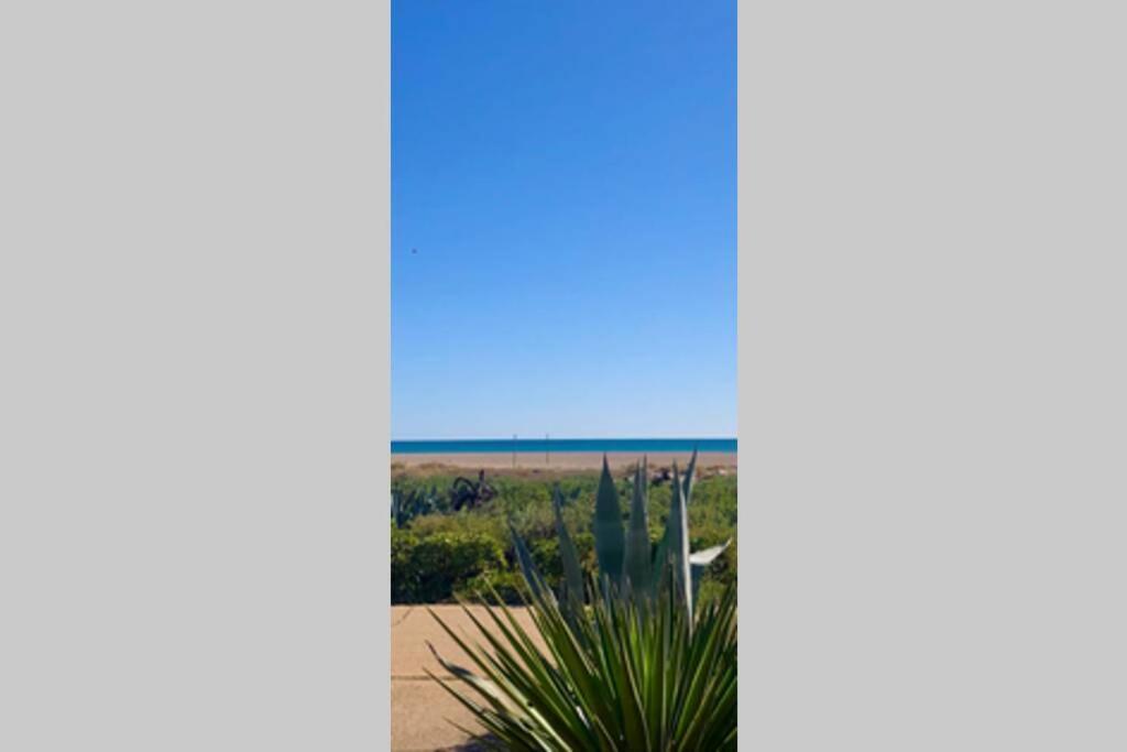 La Perle Vue Mer Pieds Dans L'Eau Clim Wifi Leucate Exterior foto
