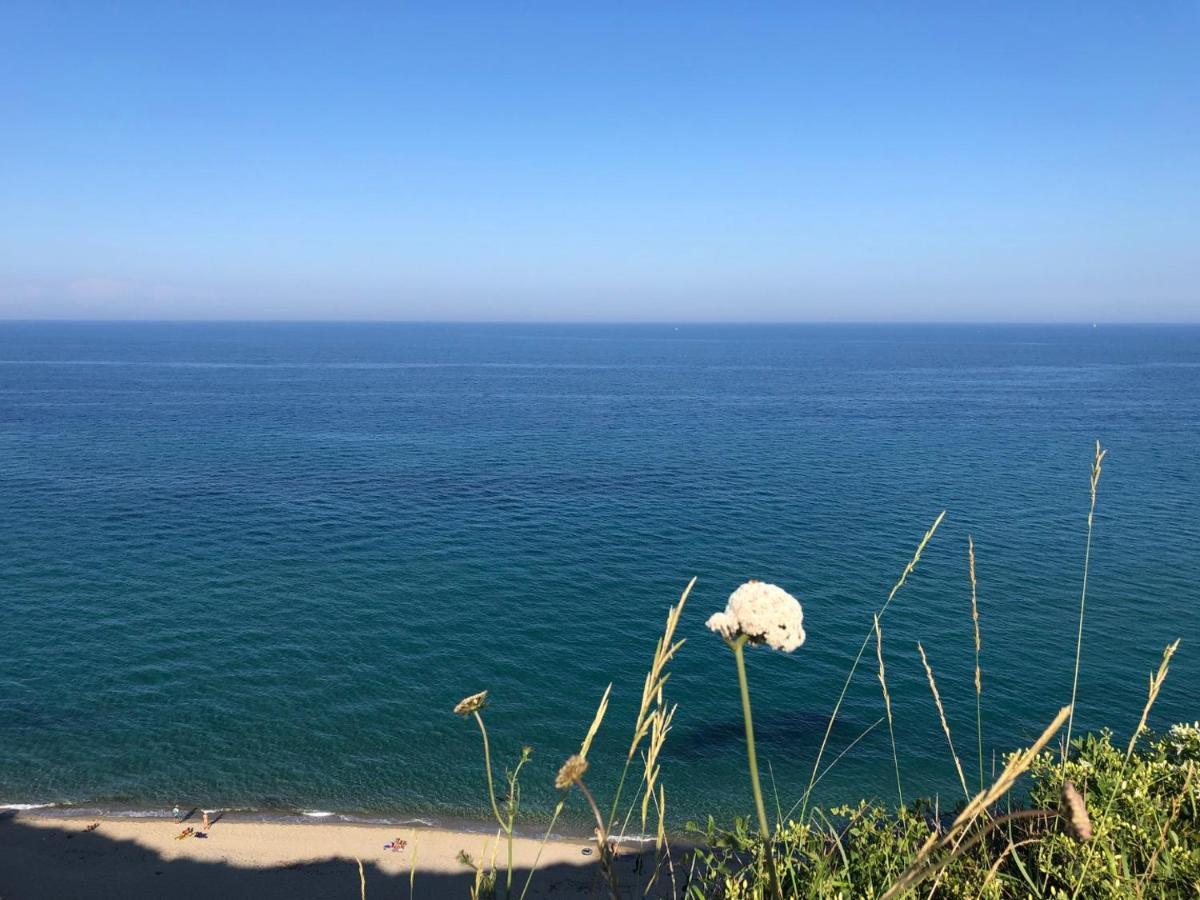 La Perle Vue Mer Pieds Dans L'Eau Clim Wifi Leucate Exterior foto